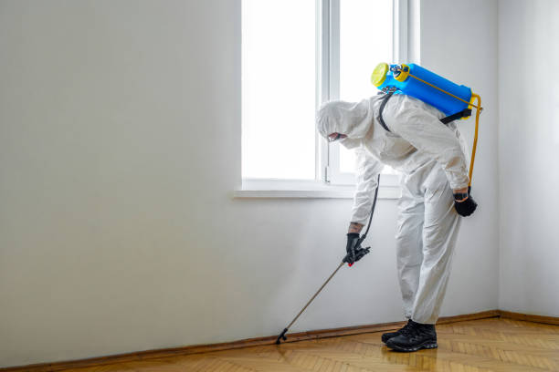 Best Local Pest Control Services  in Onancock, VA