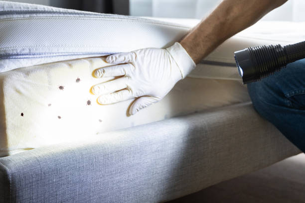 Best Pest Control Near Me in Onancock, VA