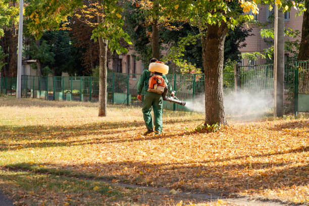 Best Residential Pest Control  in Onancock, VA