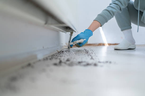 Best Best Pest Control Companies  in Onancock, VA