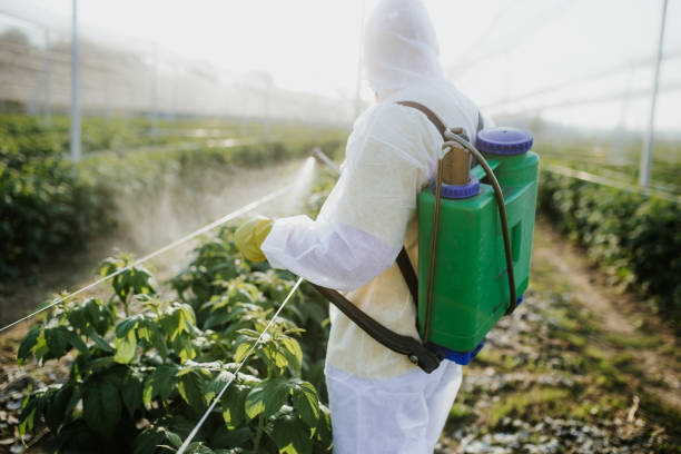 Pest Control for Restaurants in Onancock, VA